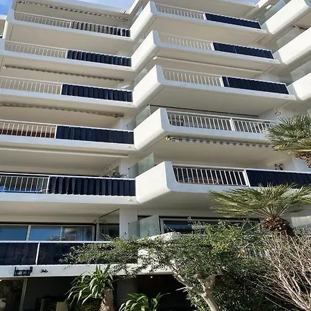 F2 Palm - Pointe Croisette